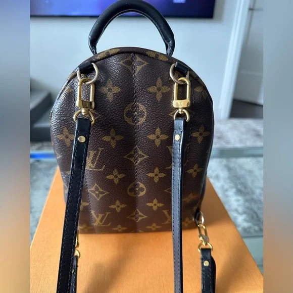 LV Palm Springs Mini - Picture 2 of 7